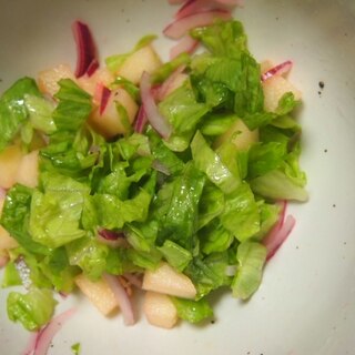 レタスとりんごのサラダ